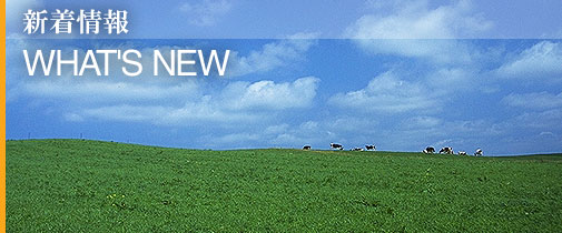 新着情報 Whats New